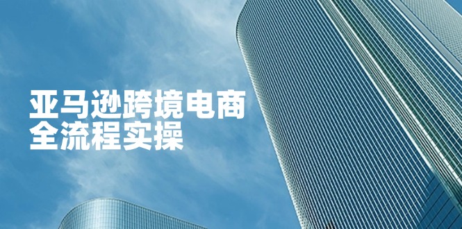 (14252期)亚马逊跨境电商全流程实操,教你从零开始,掌握店铺运营与广告技巧-轻创空间站