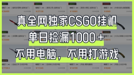 真全网独家CSGO挂G,单日捡漏1k+【揭秘】-轻创空间站